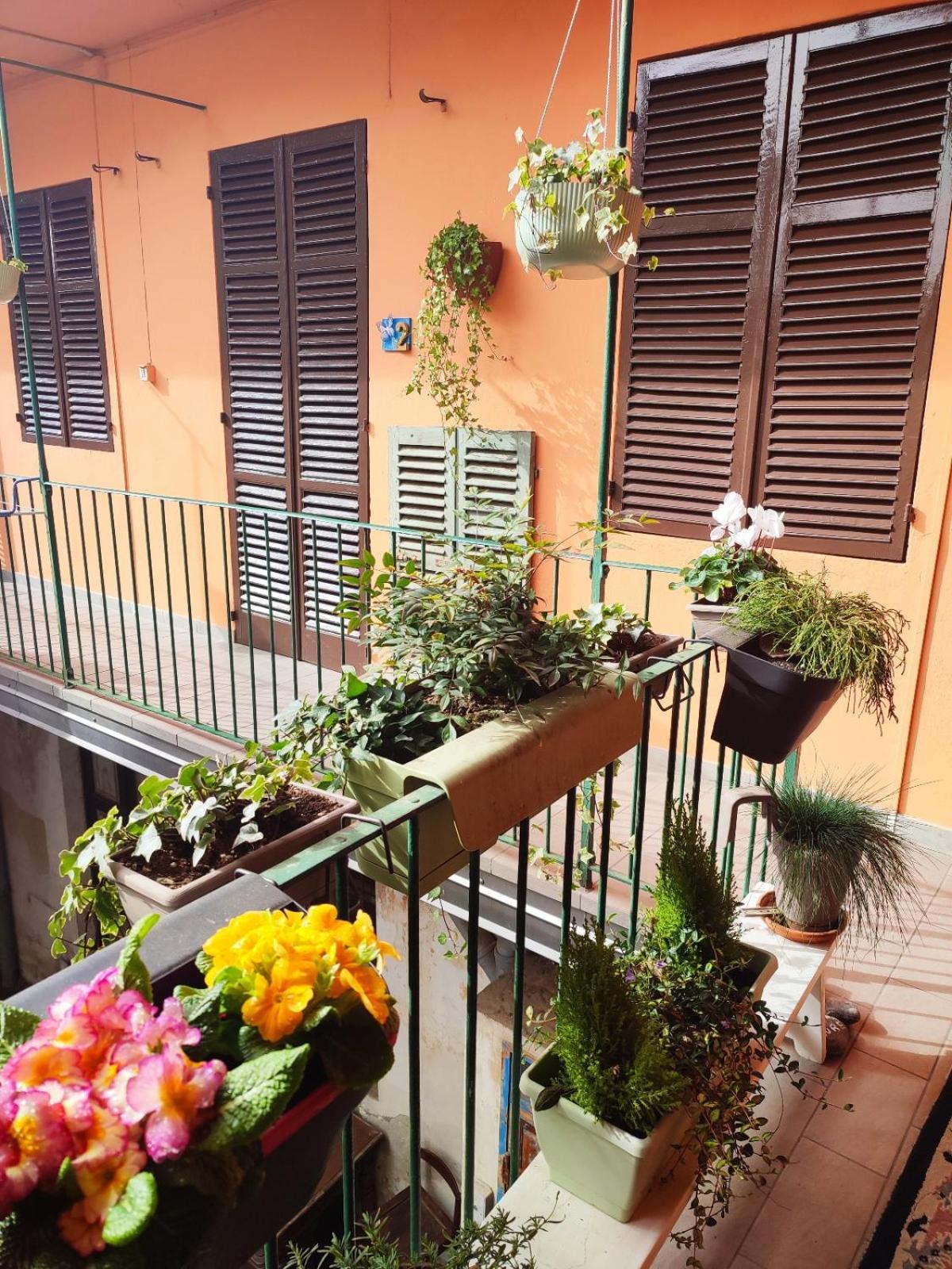 Antico Affittacamere Di Tollegno Exterior foto
